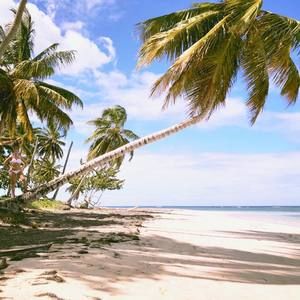 Meet your Posher, Stéphanie